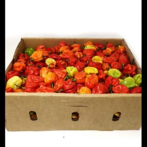 Hot Pepper Box